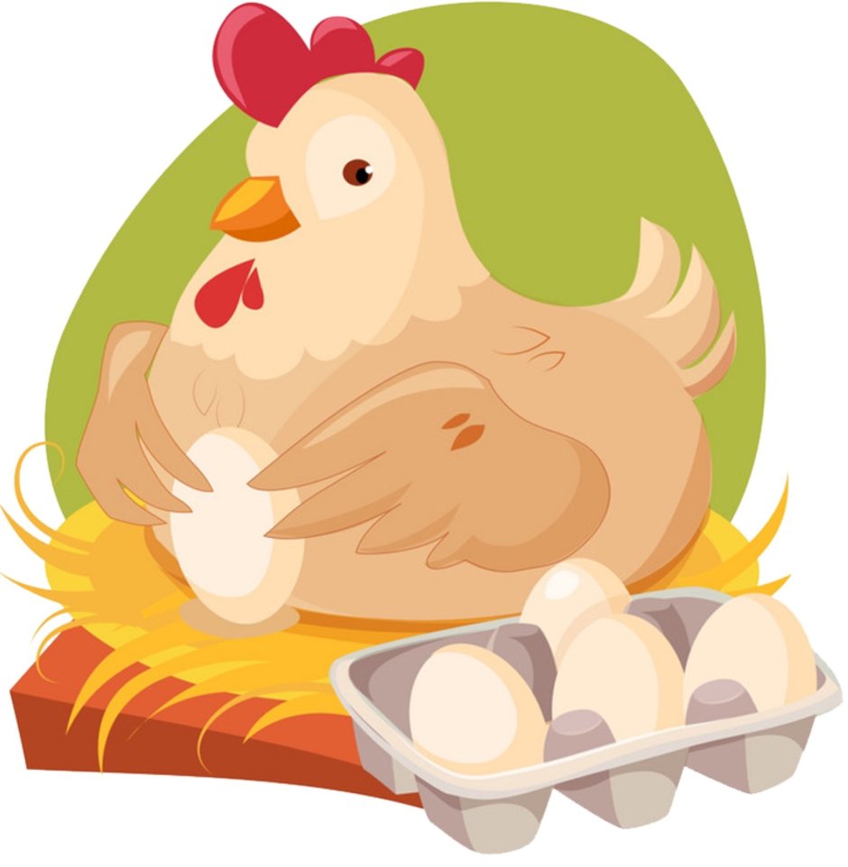 Куры Рябушка Адлерская