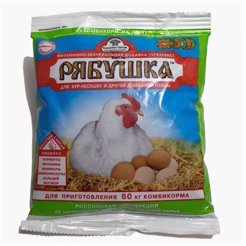 Виандот золотистый черноокаймленный