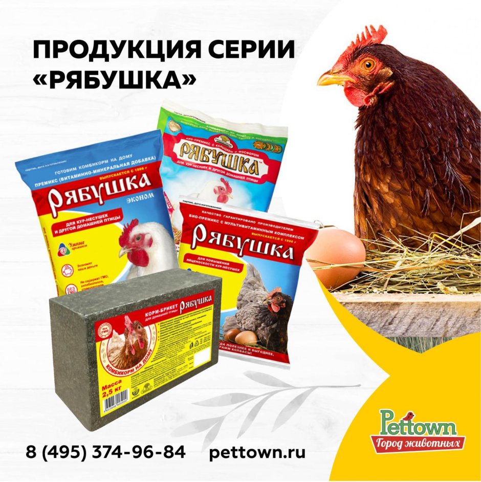 Расстояние микрочашечная поилка курица для кур