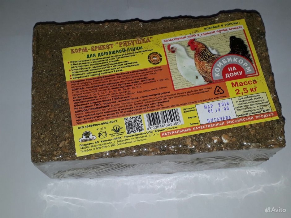 Рябушка куры