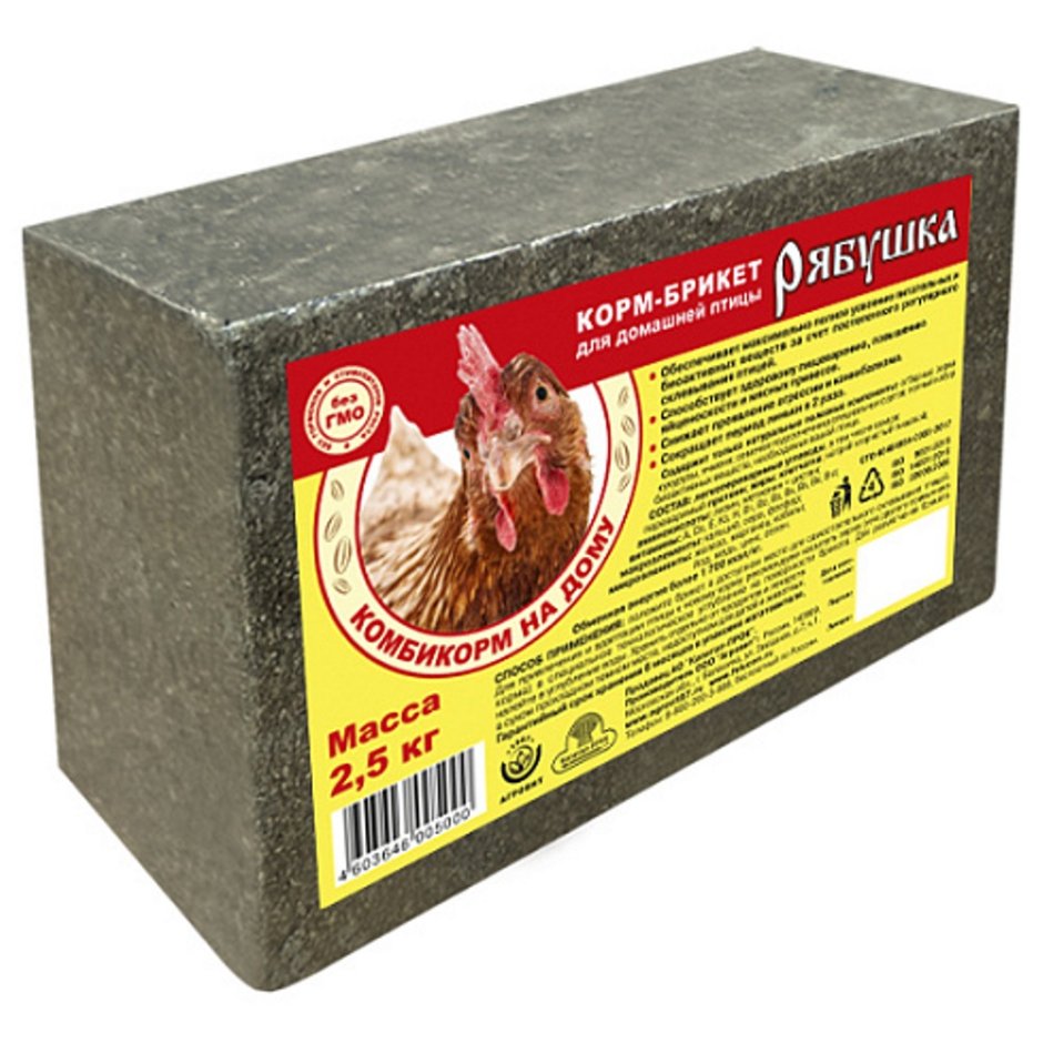 Цыплята Ломан Браун