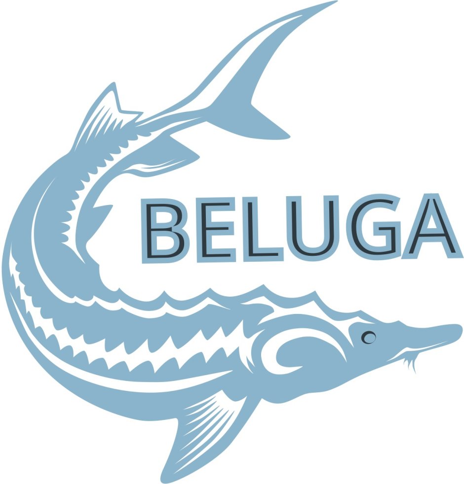 Beluga riba Белуга