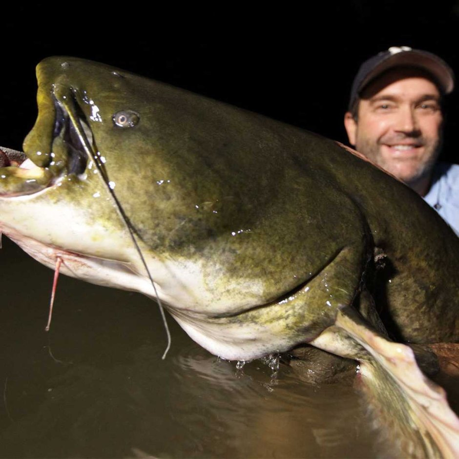 Поймал рыбу