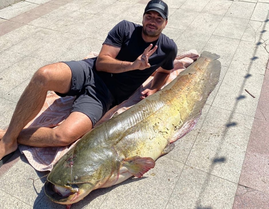 Речные монстры сом людоед самый большой