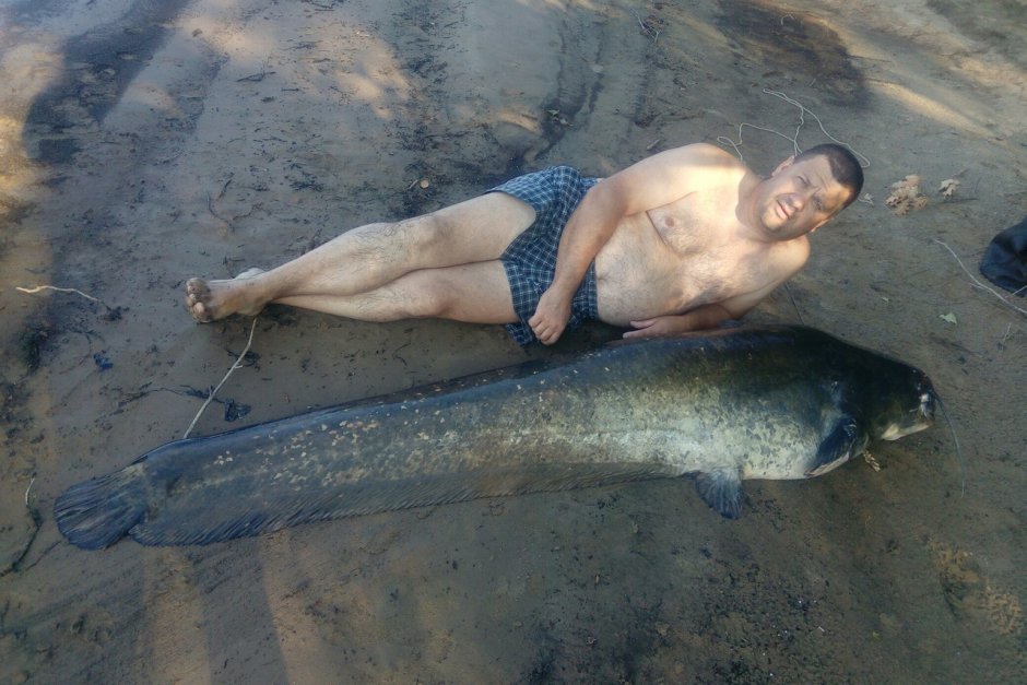 Сом 6 метров