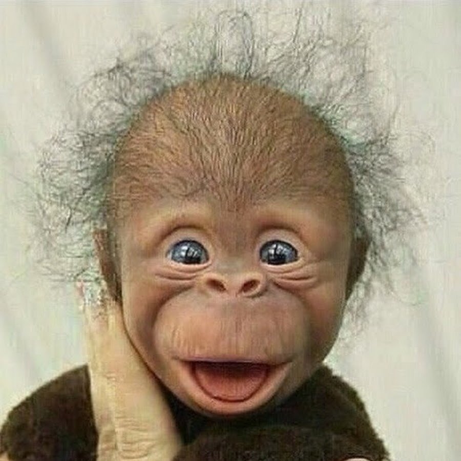 Обезьяна удивляется рисунок