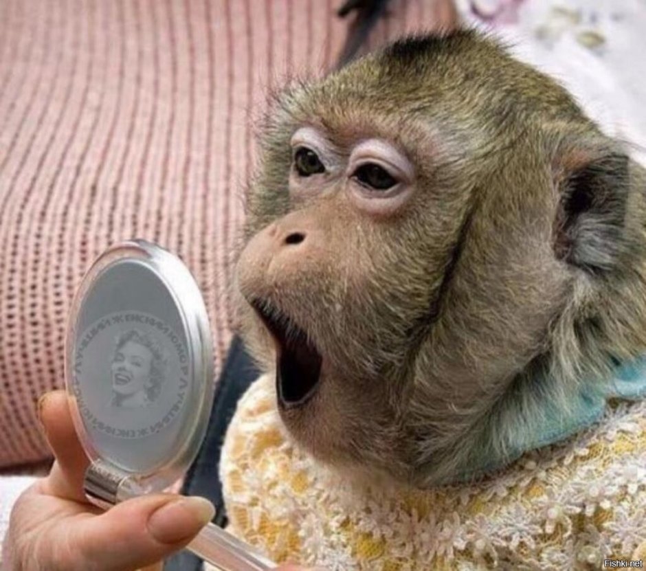 И создал Бог женщину рассмеялся и сказал накрасится