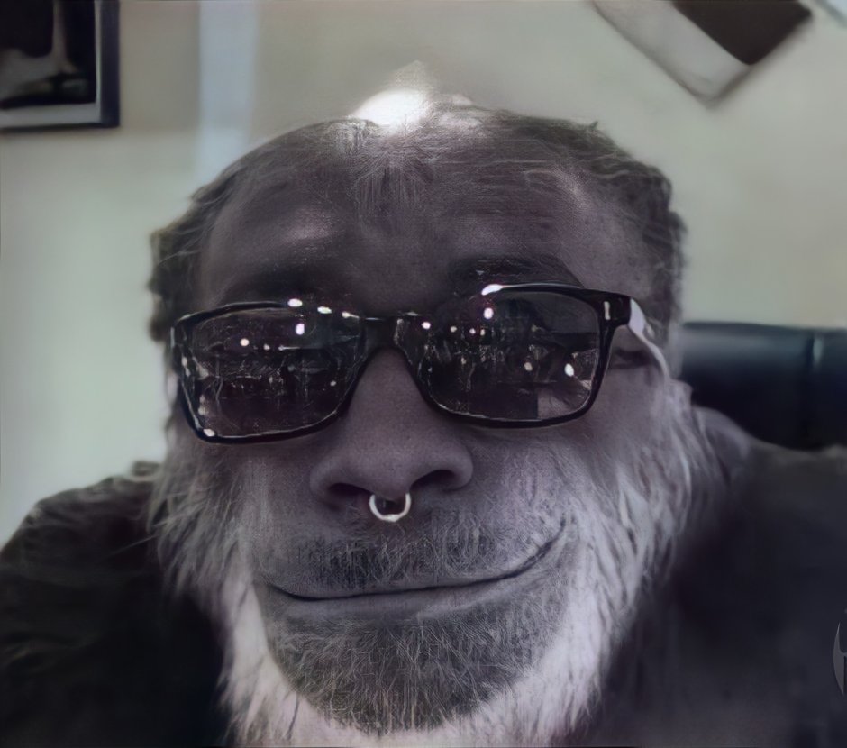 Обезьяна улыбается