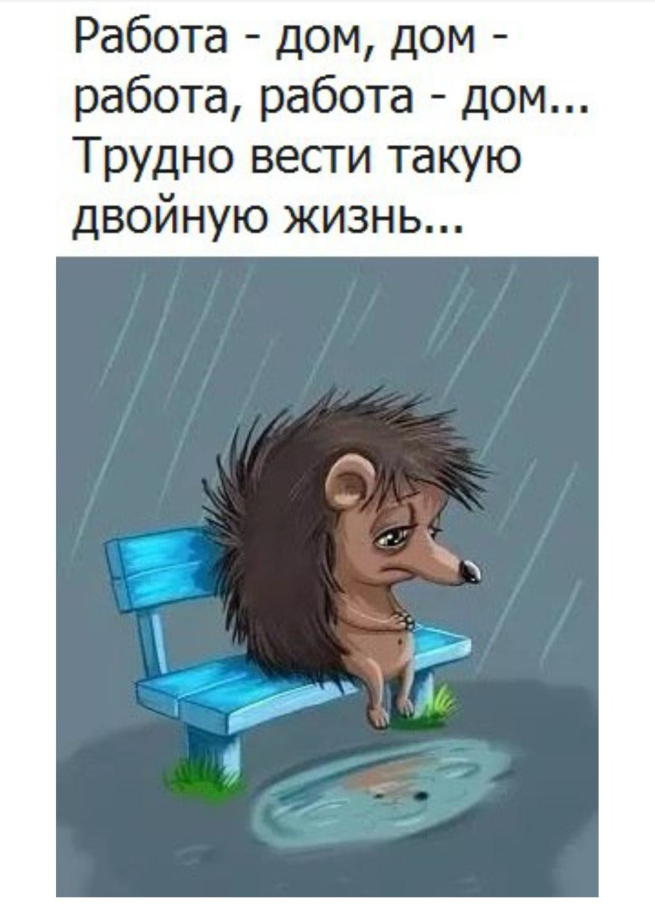 Опишите Вашу жизнь материться можно нет тогда все хорошо