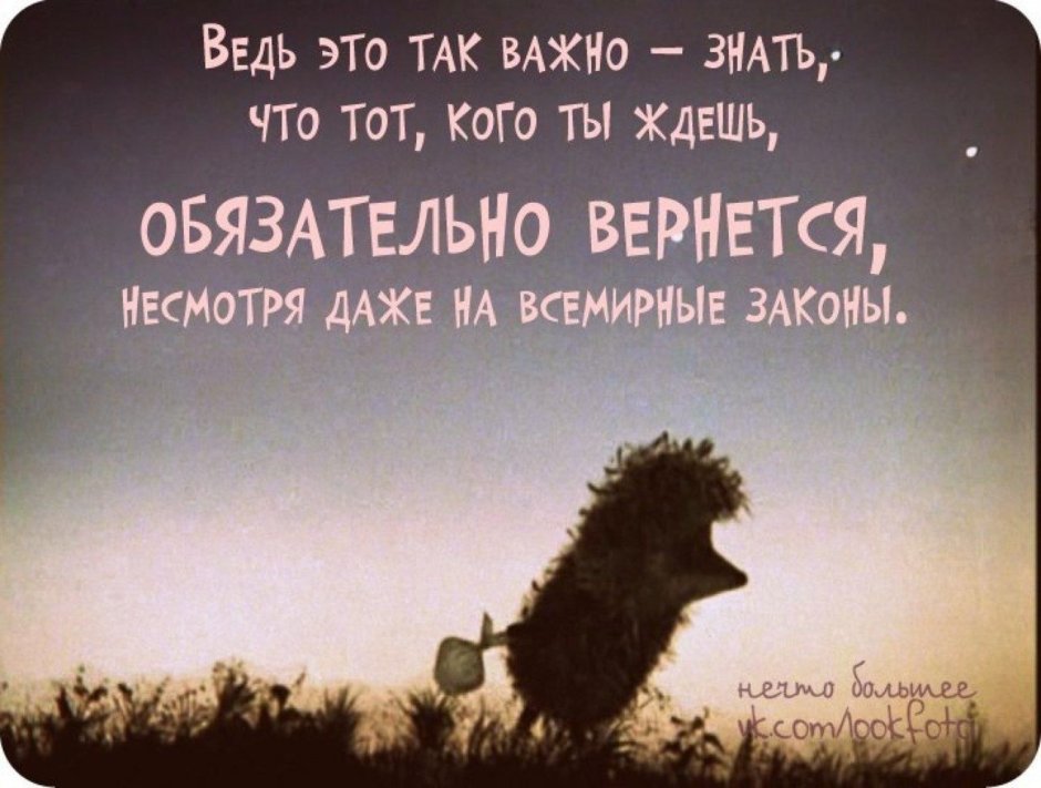 Ёжик в тумане Усть Кут