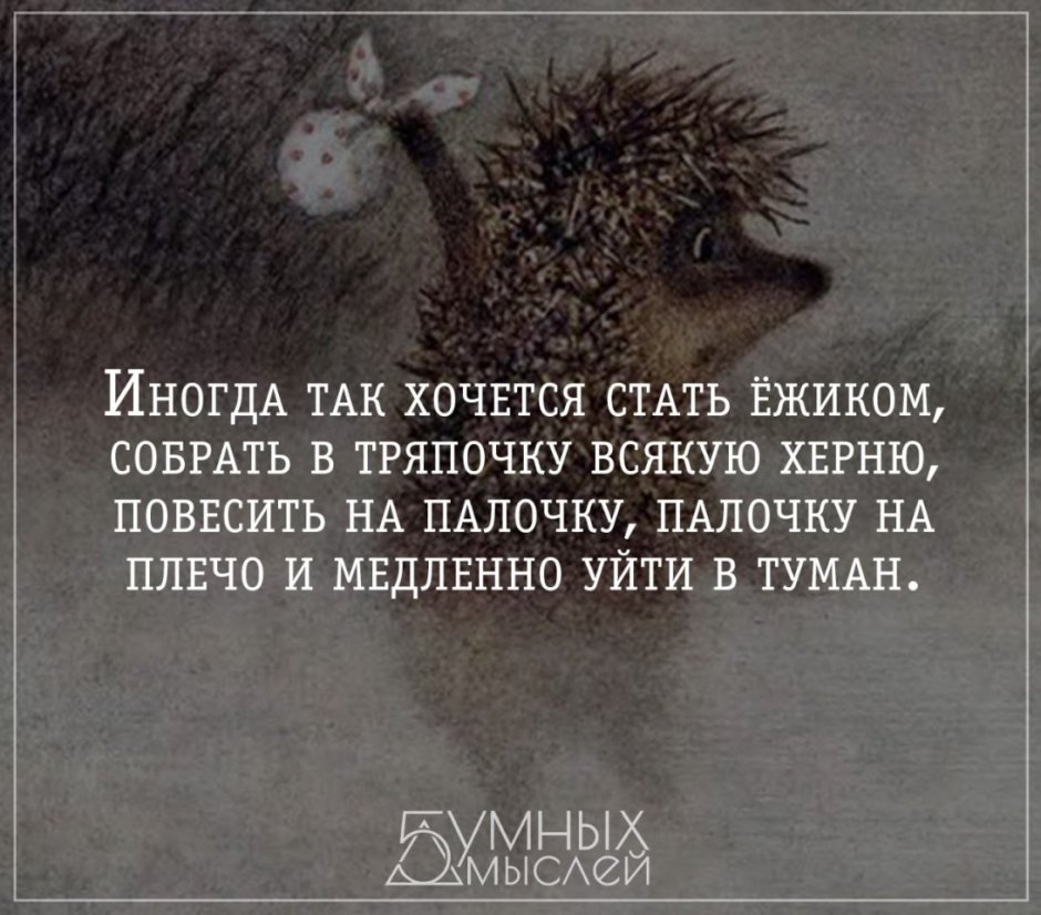 Настроение Ежик в тумане
