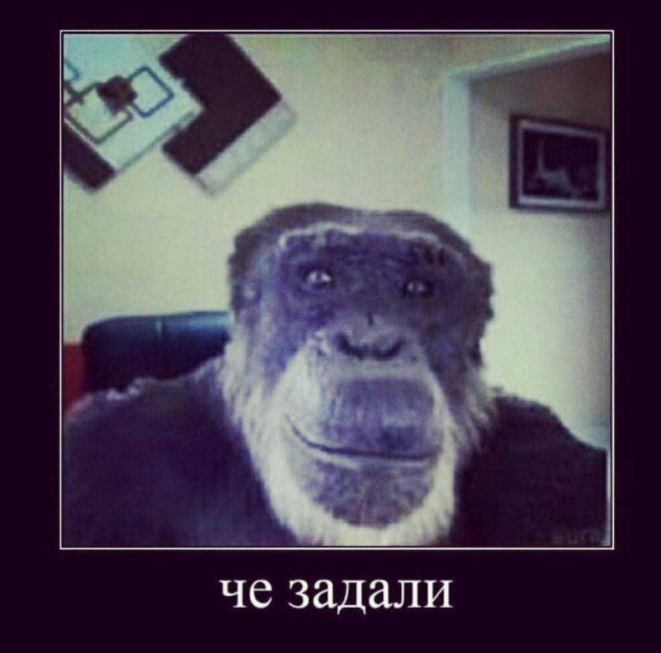 Ржачные видосы