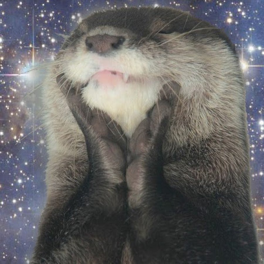 Бобер моется