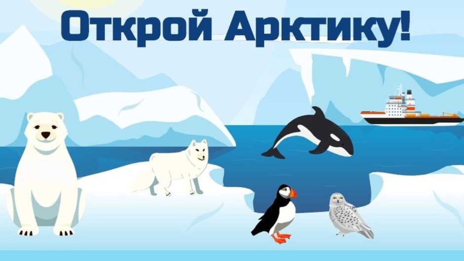 Урок Арктики