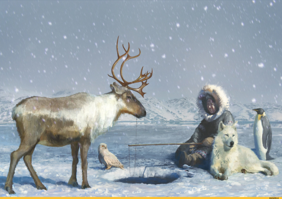 Чукотка стада оленей