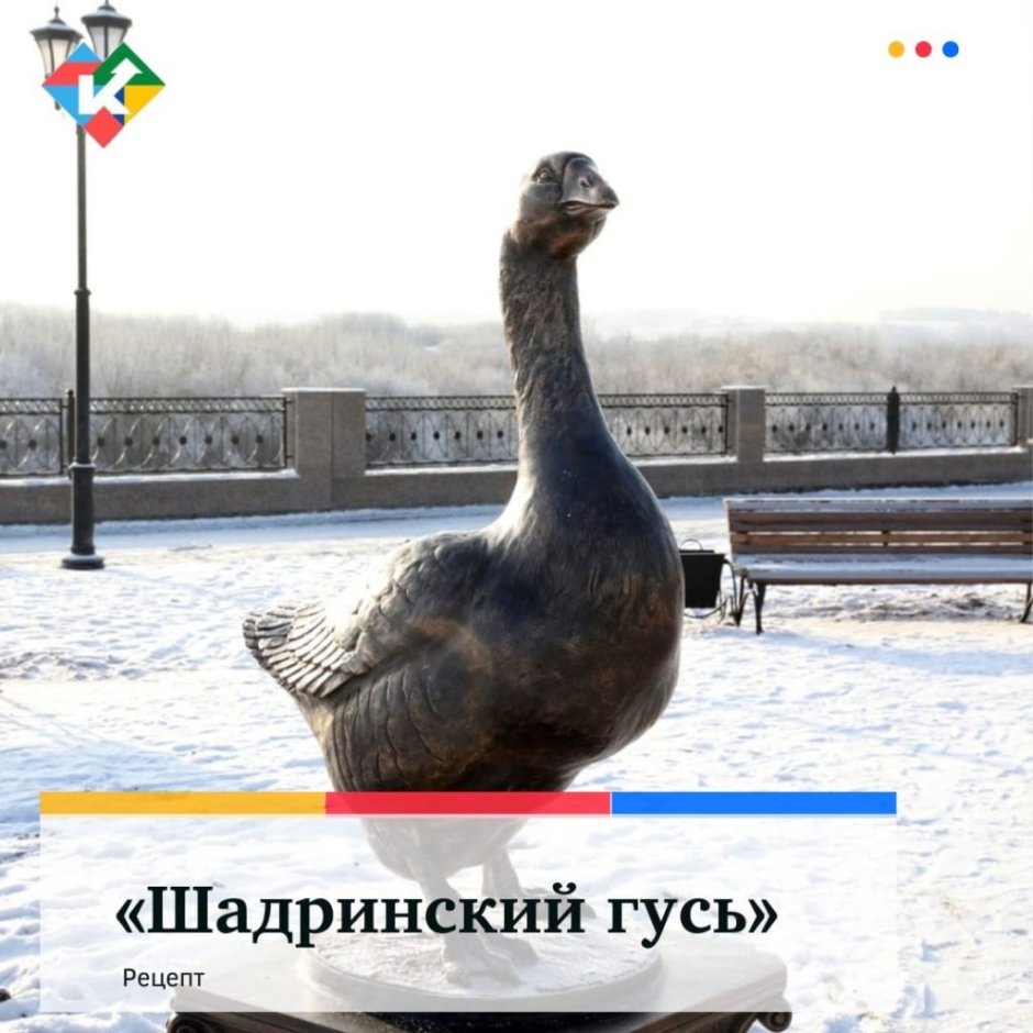 Шадринский Гусь