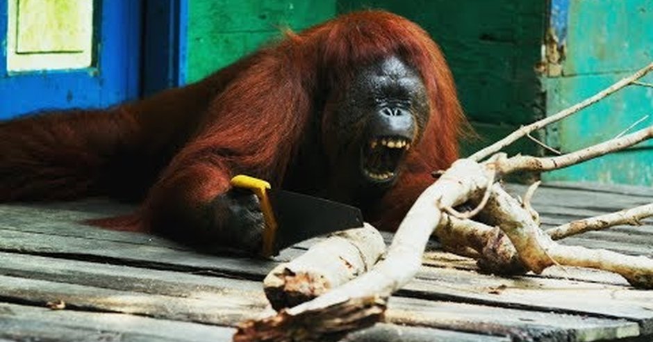 Обезьяна висит на ветке