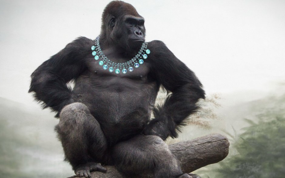 Борнейский орангутанг