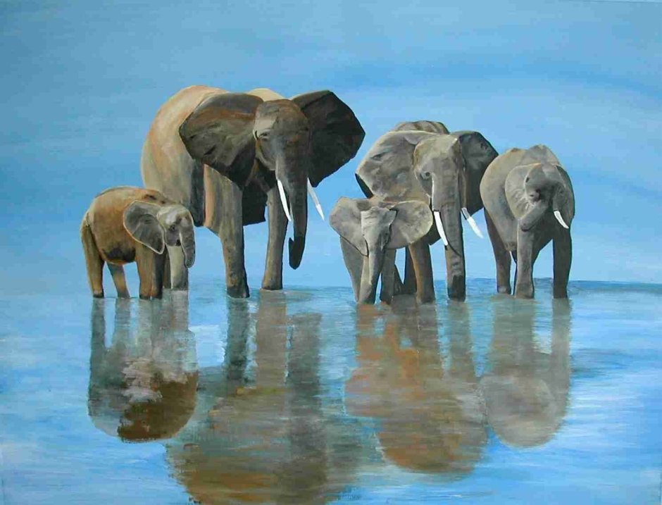 Run, Elephant, Run