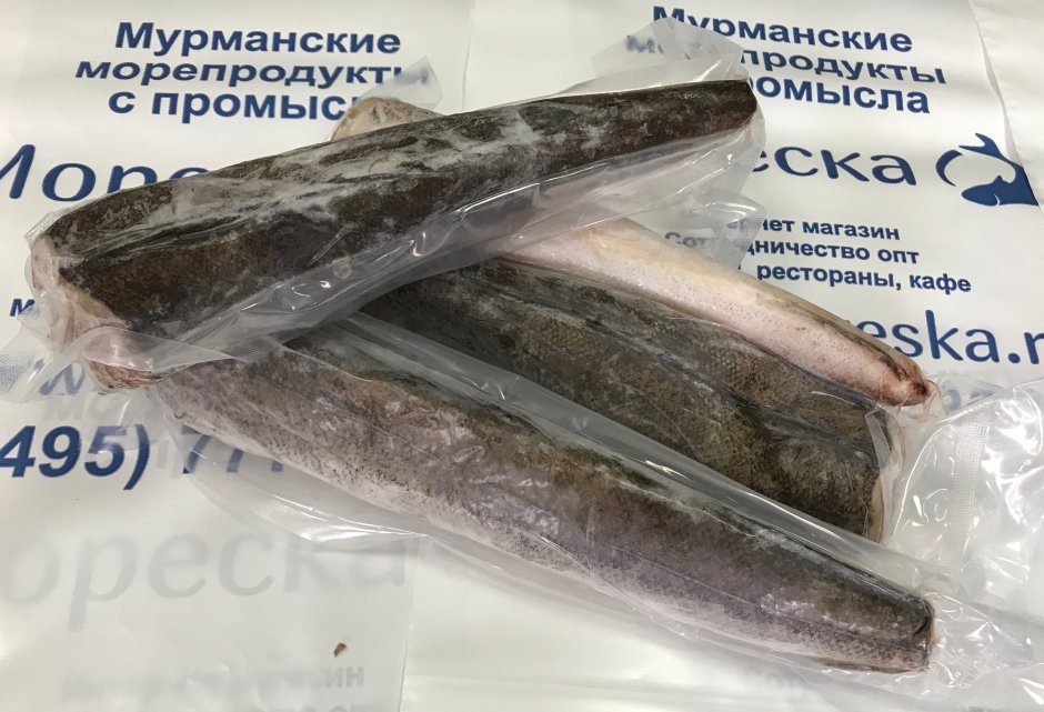 Черноморский хек