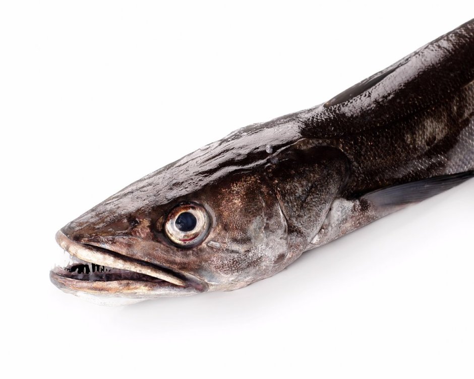 Моё море Рыбная продукция