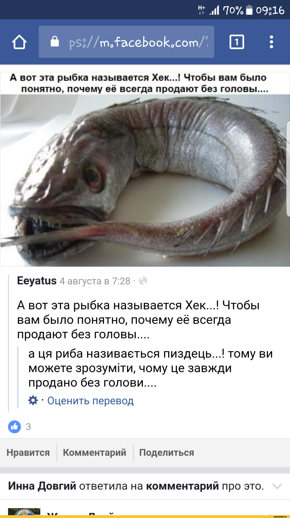 Хек разделанный