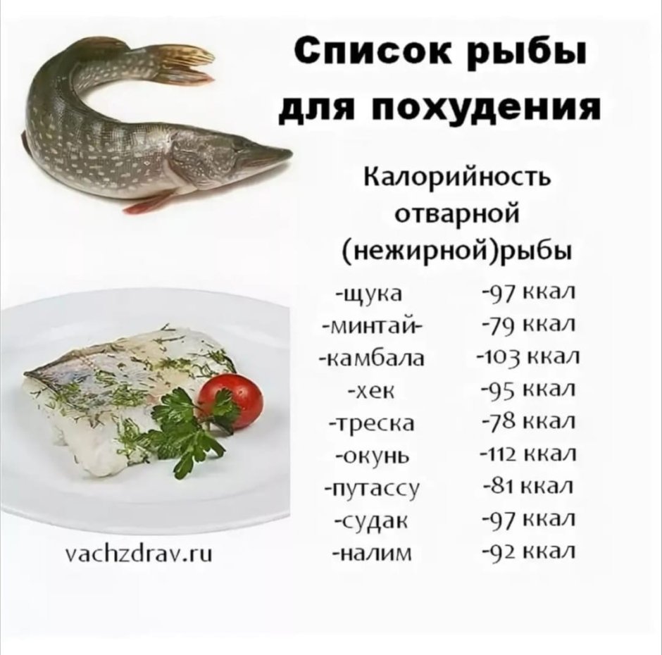 Как жалок Шут на троне короля как глуп народ который то позволил