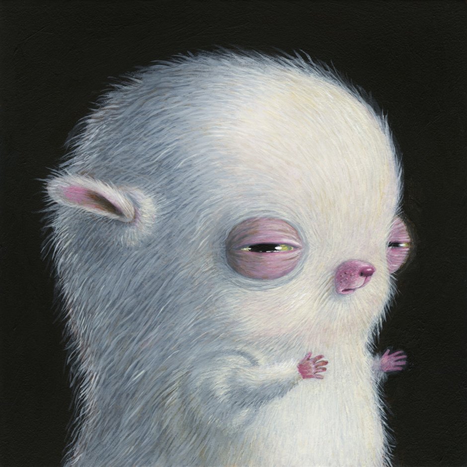 Горностай Северная Америка