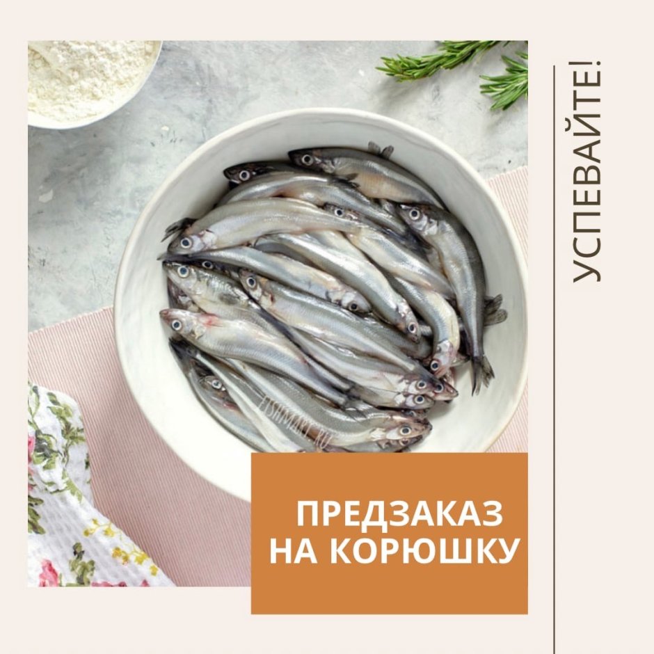 Корюшка Балтийская