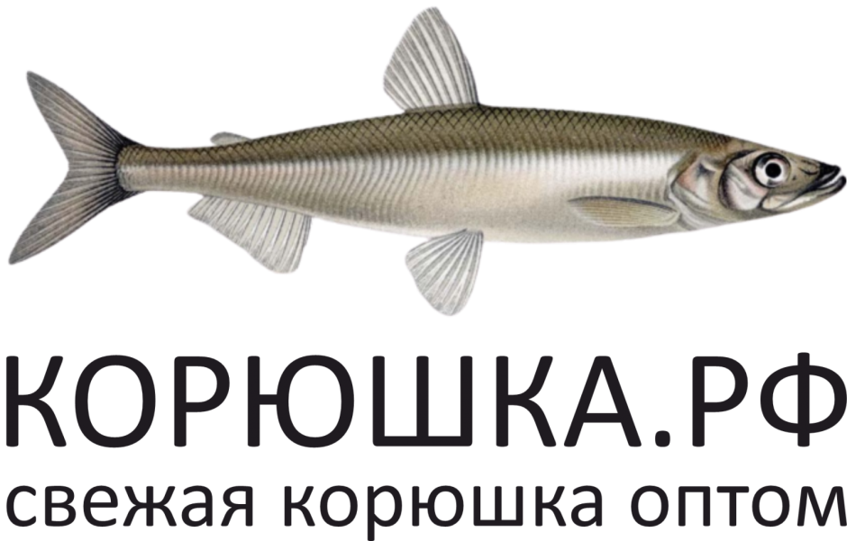 Абрауская тюлька