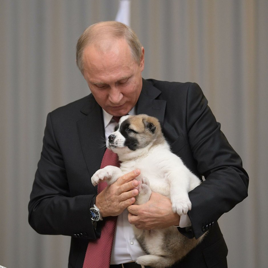Конни полгрейв