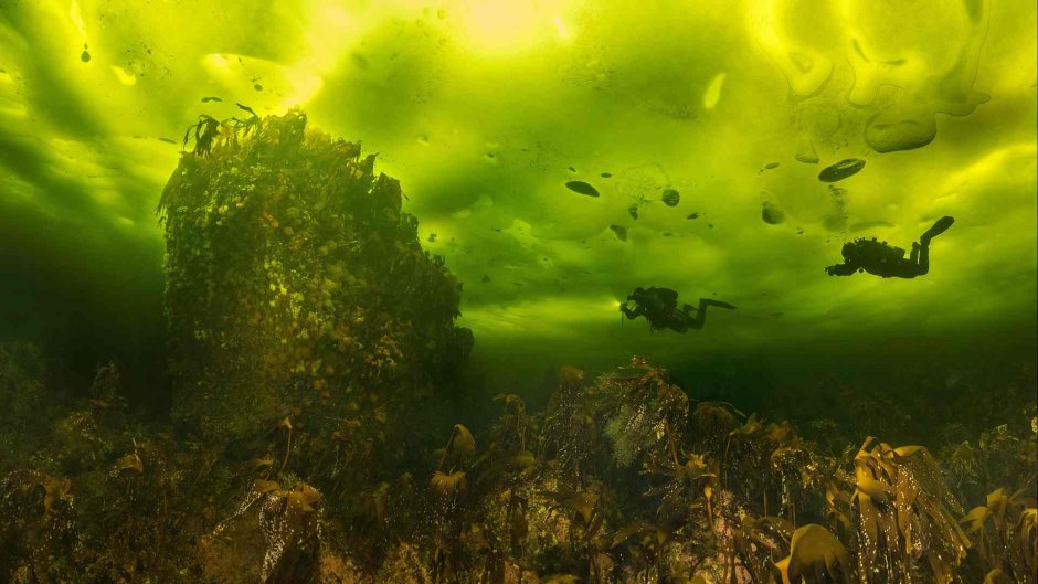 Виктор Лягушкин фотограф National Geographic