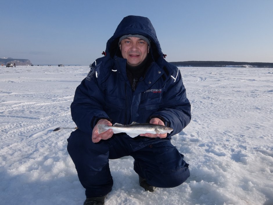 Гаффская болезнь корюшка
