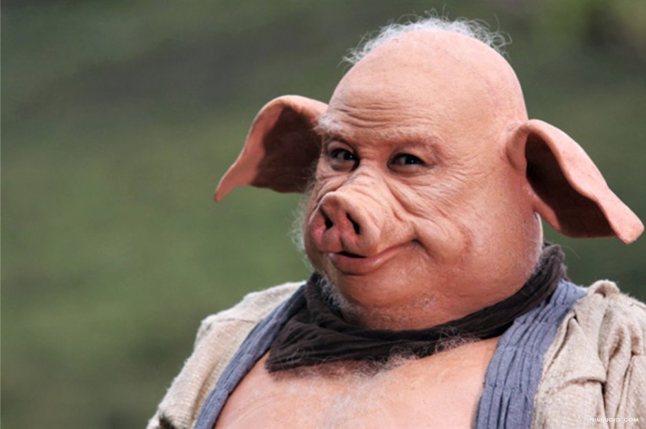 Свинья Священное животное