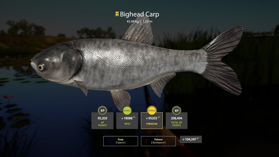Russian Fishing 4 Карп