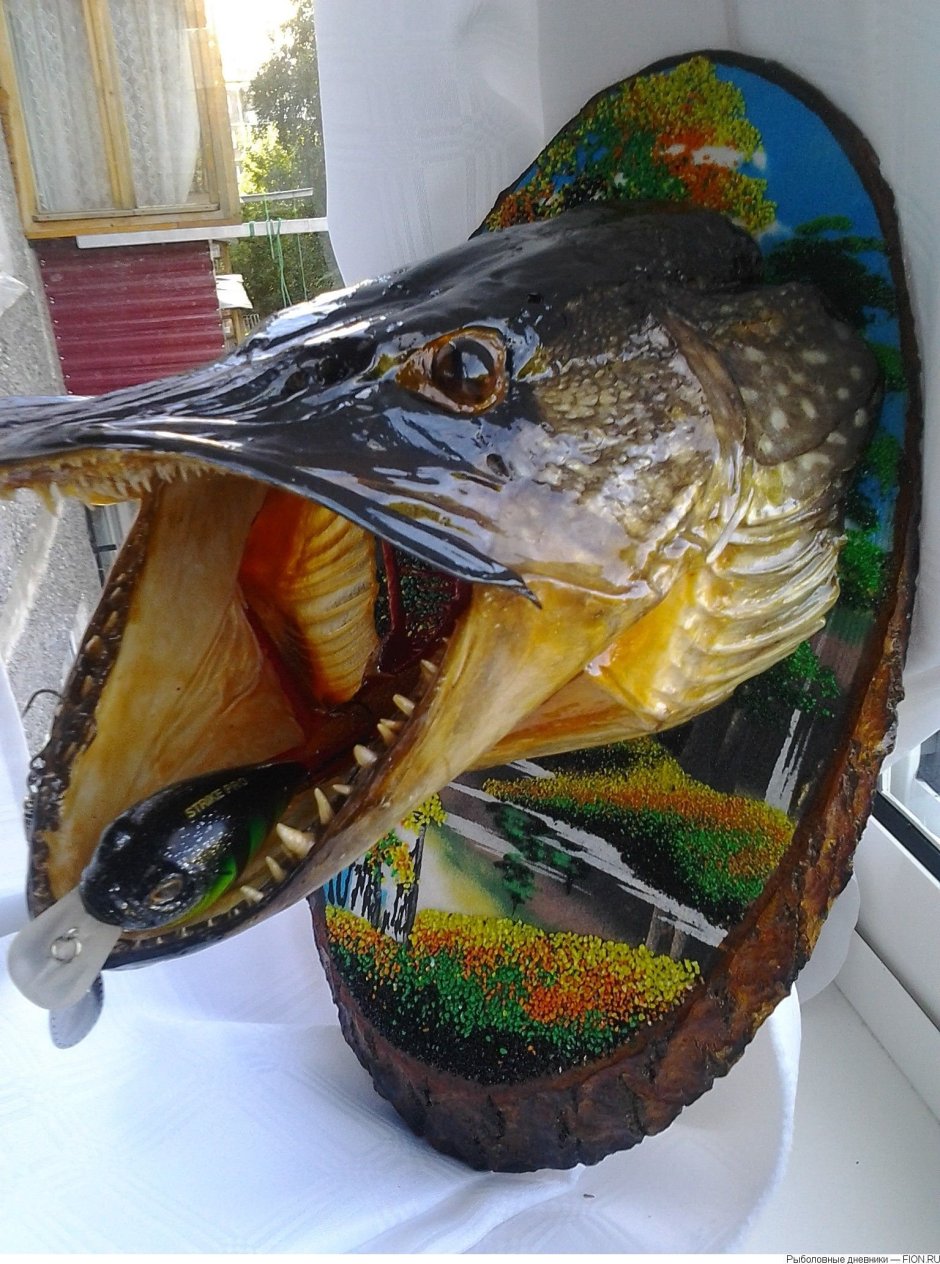 Глаз рыбы