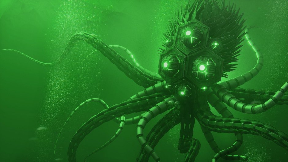 Muusoctopus leioderma