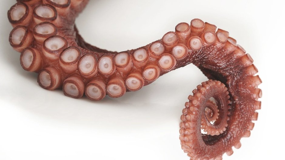 Щупальца 2000 Octopus