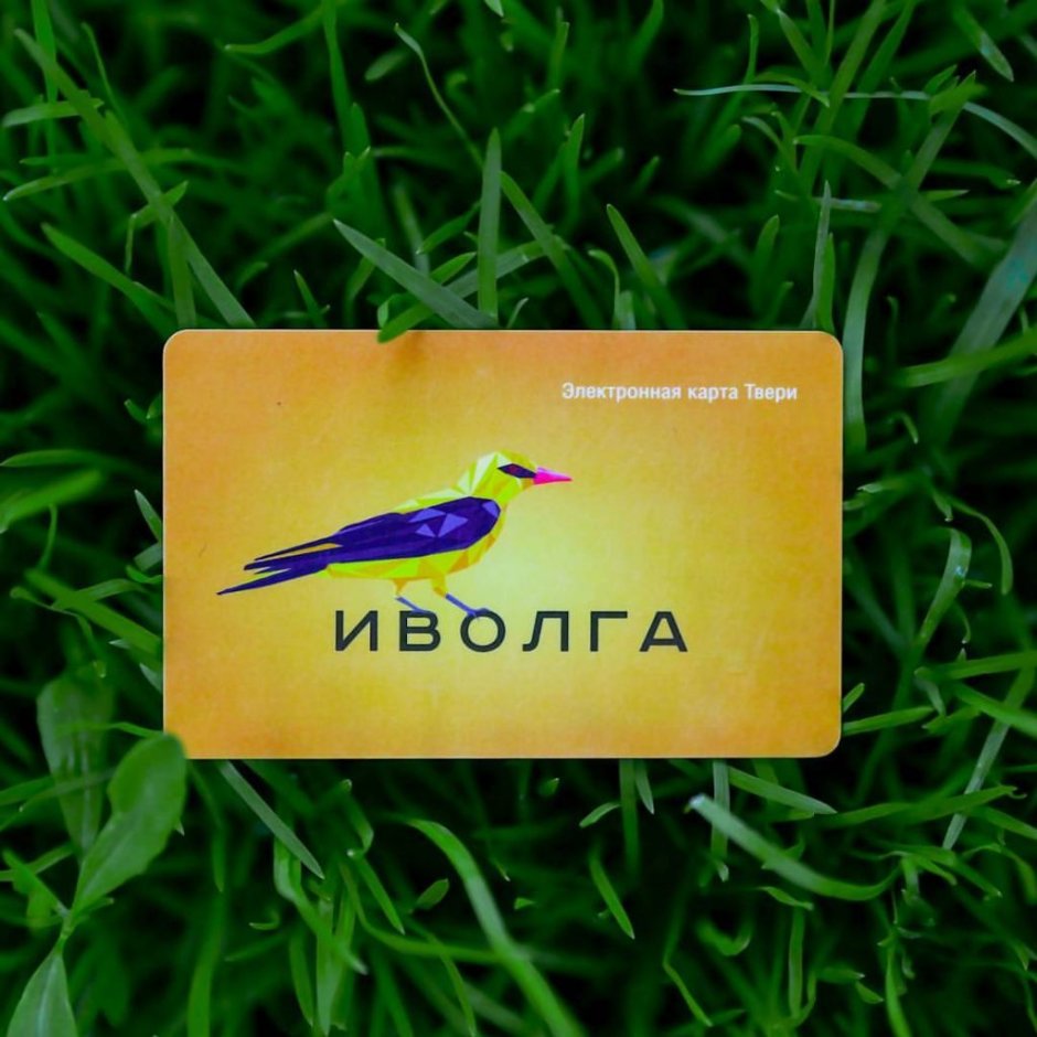 Иволга на карте Россия