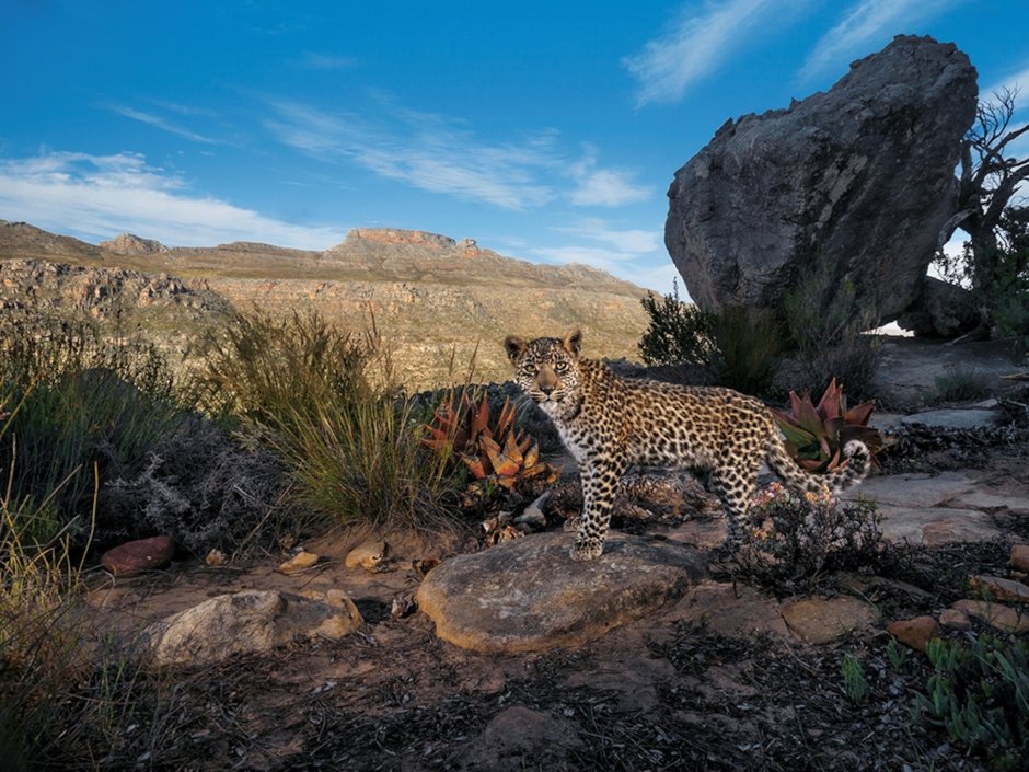 Wildlife Reserve