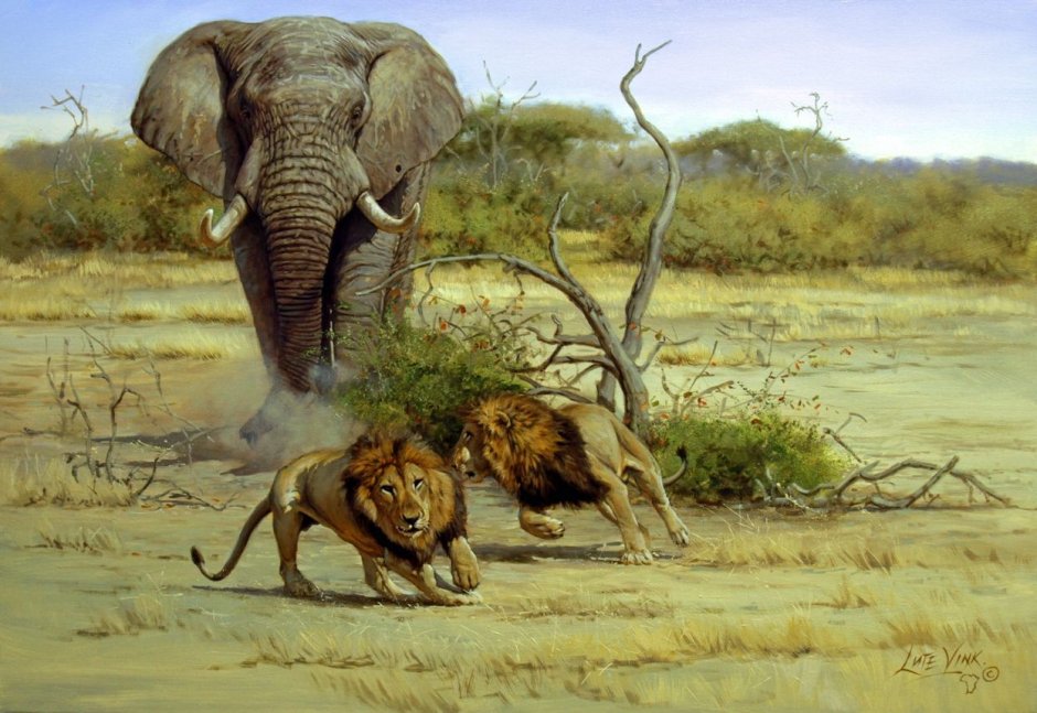 Канал National Geographic Wild
