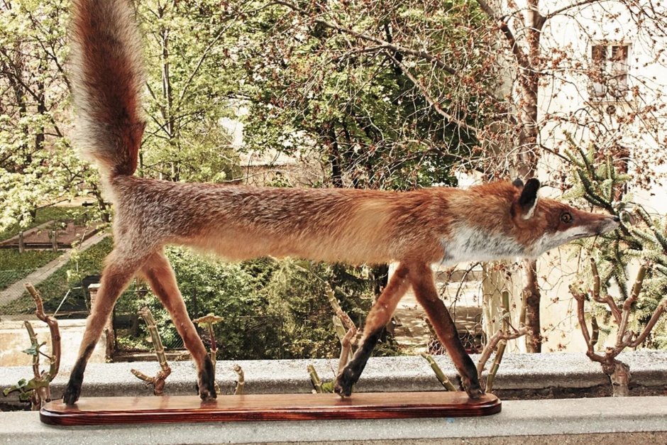 Игрушки Santaniel Inari Foxes