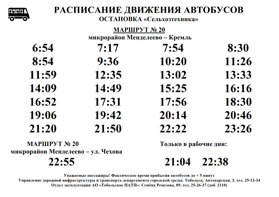 Песчанка в пустыне картинки для детей