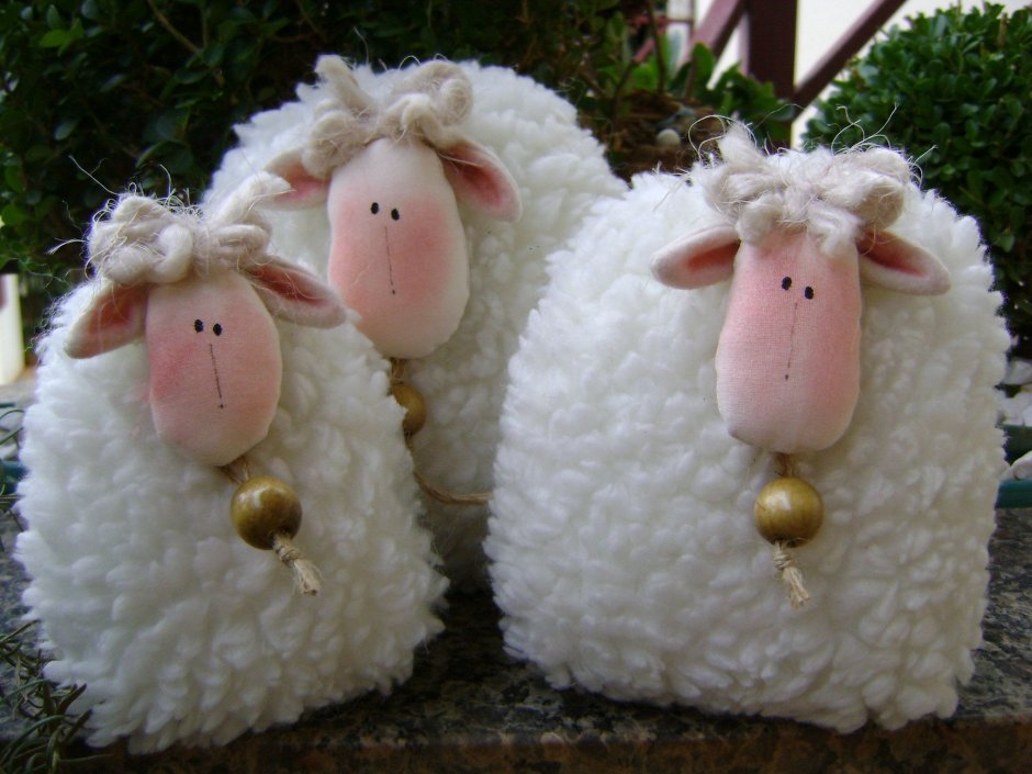 Valais Blacknose