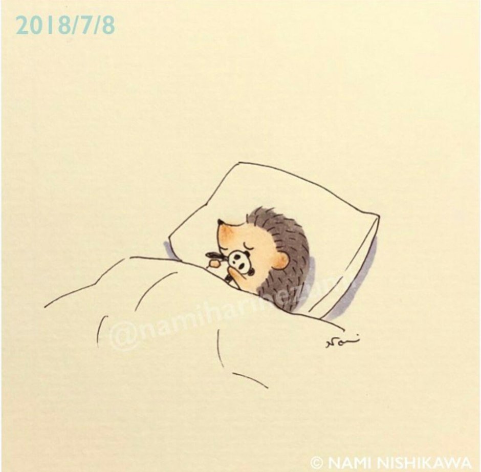 Ежик спит рисунок