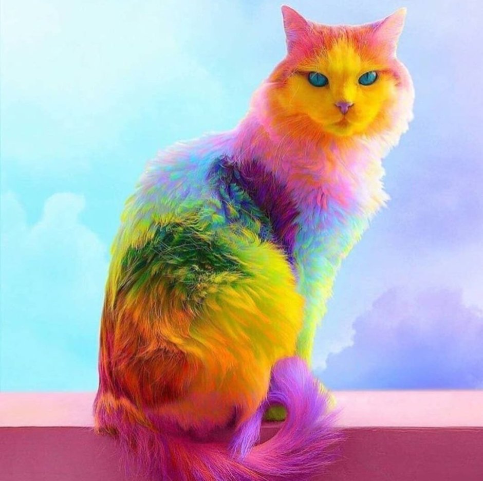 Разноцветный кот