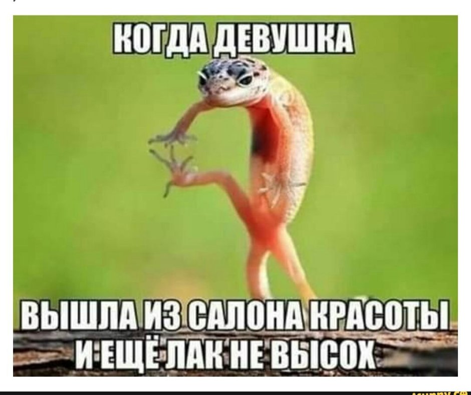 Геккон эублефар улыбается