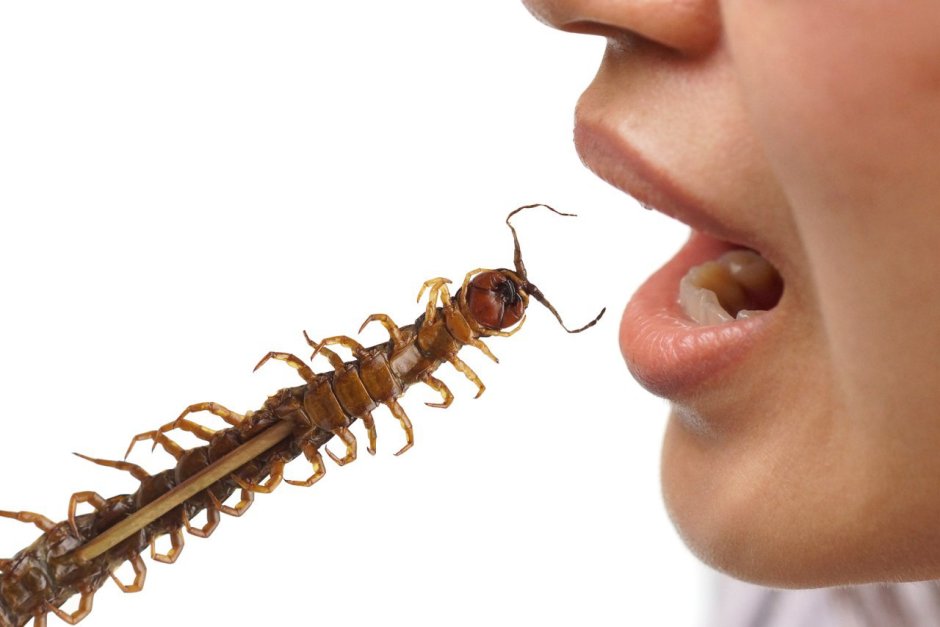Многоножка Millipede красная