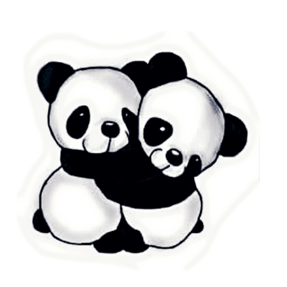 Lazy Panda Sport