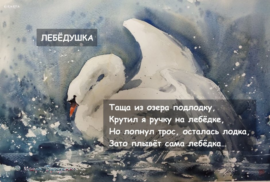 Лебеди в пруду